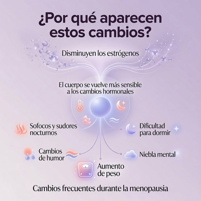 Por qué aparecen los cambios de la menopausia